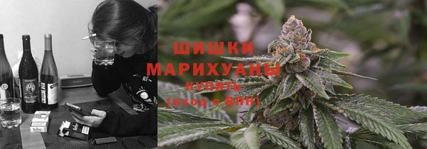 амф Медногорск